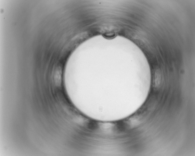 X0000088640226200706151950