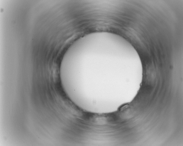 X0000088640228200706151950