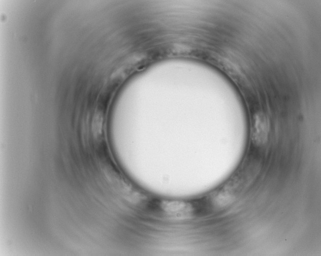 X0000088640230200706151950