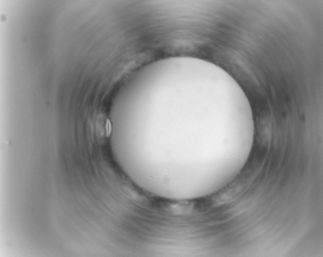 X0000088640232200706151950