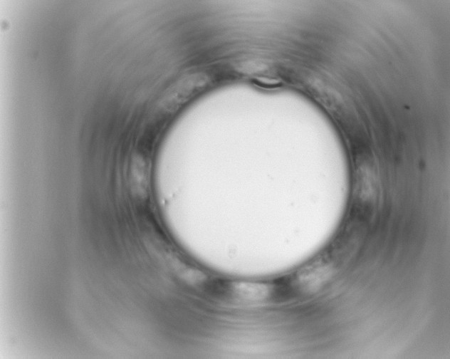 X0000088640234200706151950