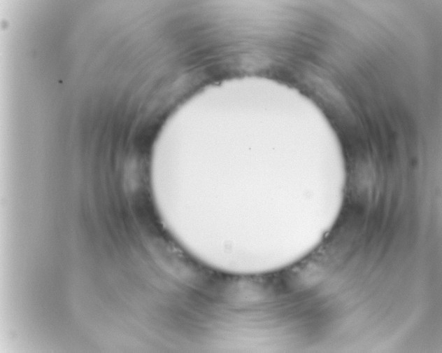 X0000088640236200706151950