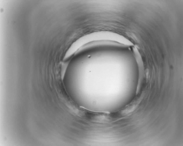 X0000088640237200706151950