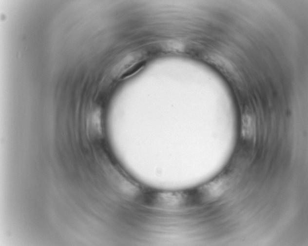 X0000088640238200706151950