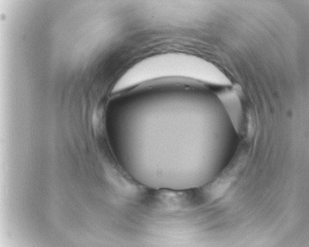 X0000088640239200706151950