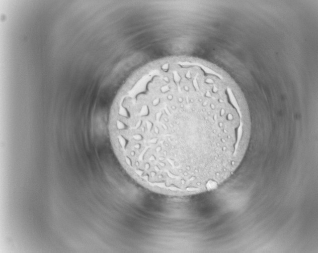 X0000088640240200706151950