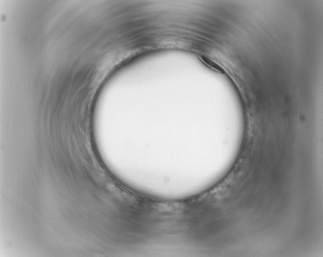 X0000088640241200706151949