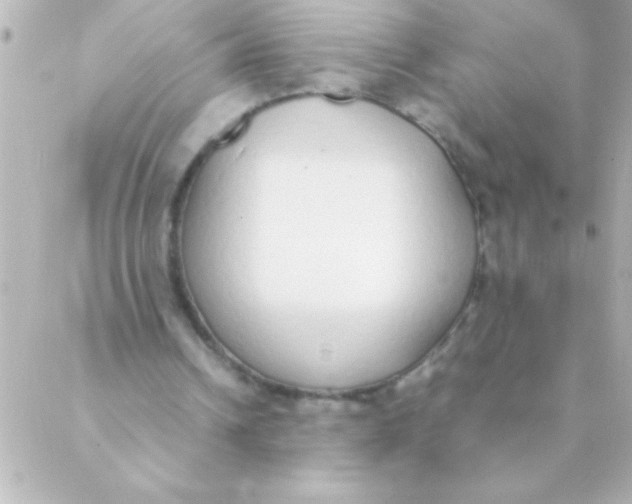 X0000088640242200706151949