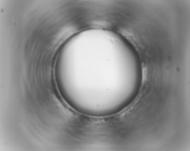 X0000088640243200706151949