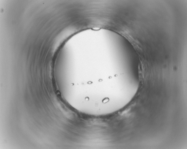 X0000088640244200706151949