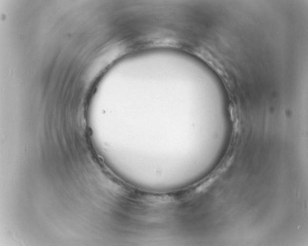 X0000088640245200706151949