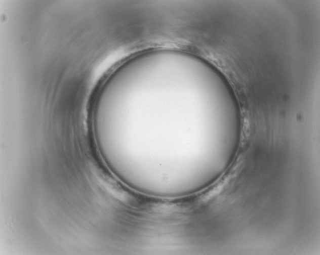 X0000088640246200706151949