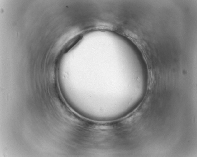 X0000088640247200706151949