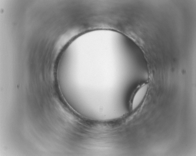 X0000088640248200706151949