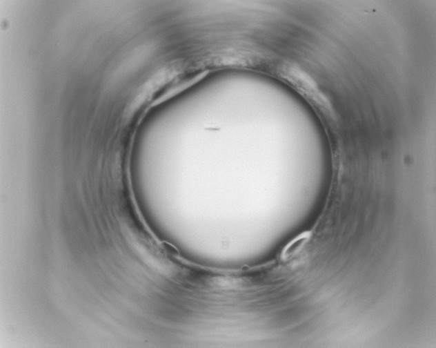 X0000088640250200706151949