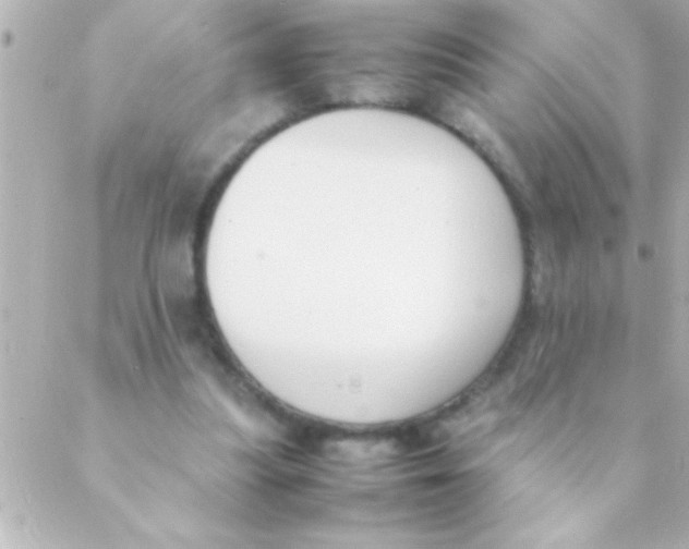 X0000088640251200706151949