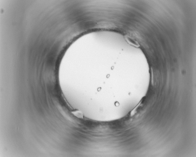 X0000088640252200706151949