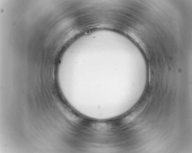 X0000088640253200706151949