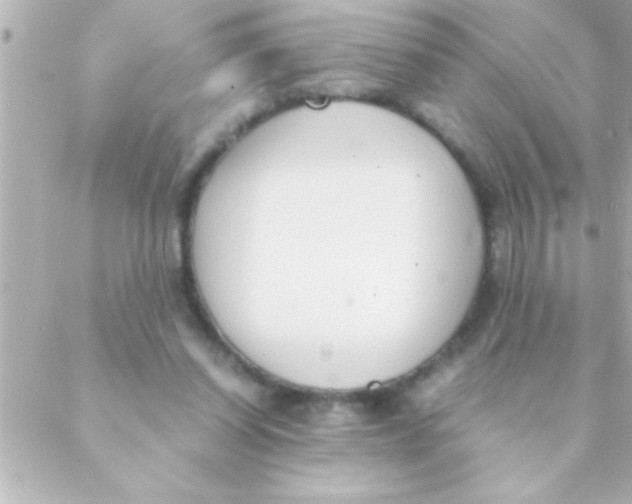 X0000088640254200706151949