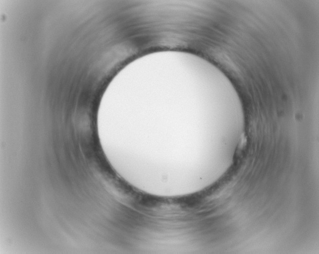 X0000088640256200706151949