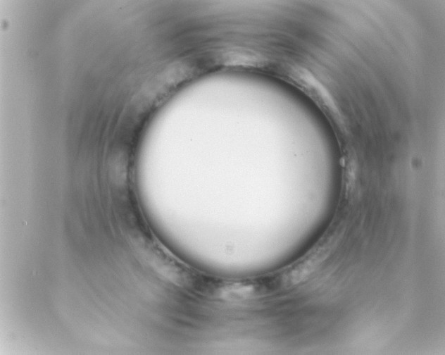 X0000088640257200706151949