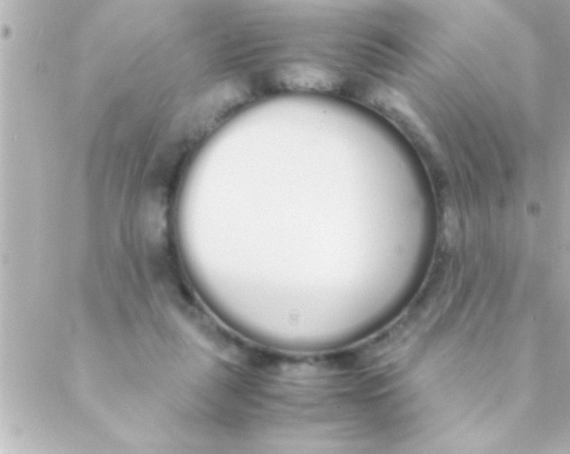 X0000088640259200706151950