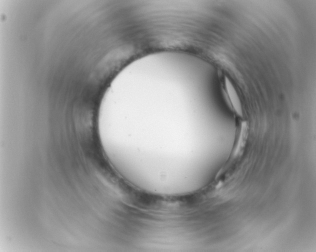 X0000088640260200706151950