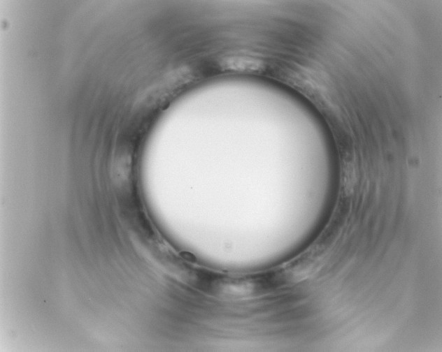 X0000088640263200706151950