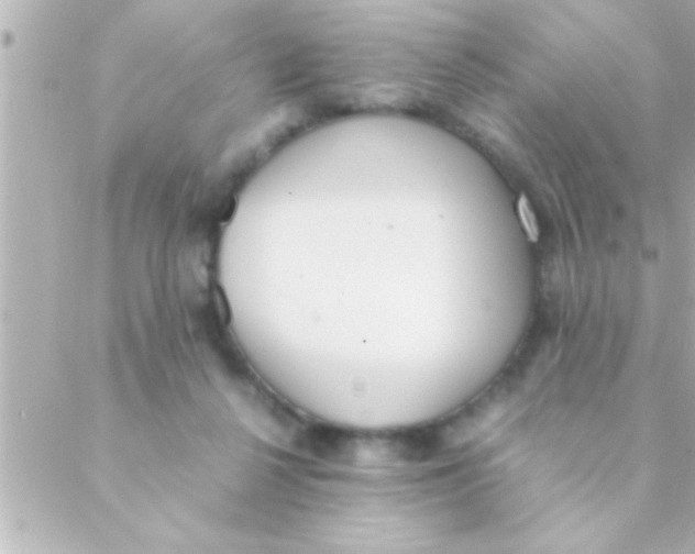 X0000088640264200706151950