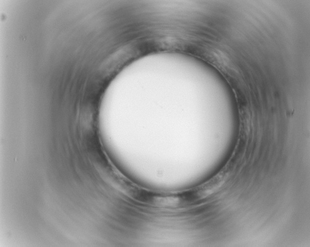 X0000088640266200706151950