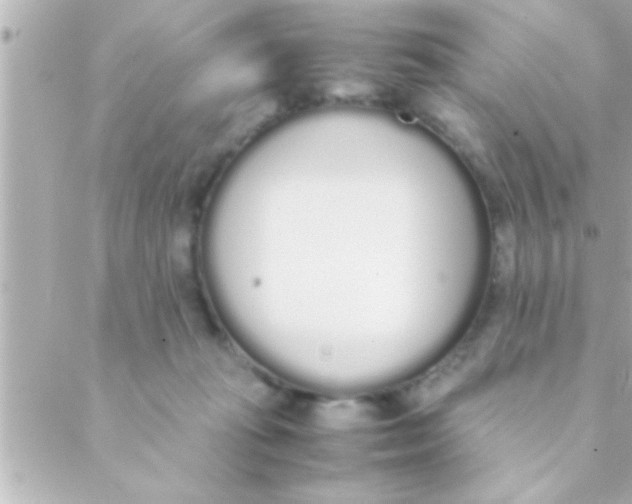 X0000088640269200706151950