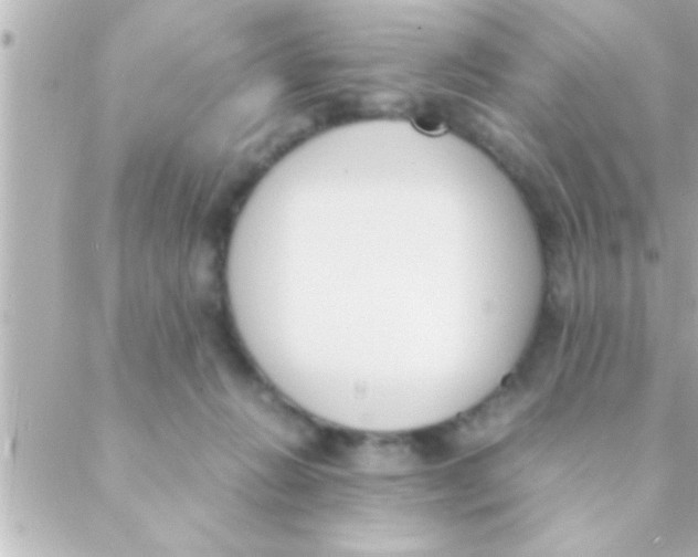 X0000088640270200706151950