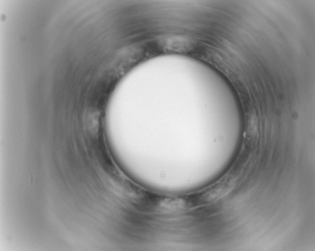 X0000088640271200706151950