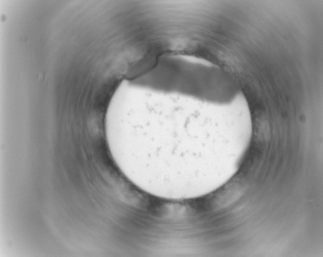 X0000088640272200706151950