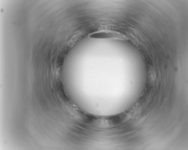 X0000088640276200706151950