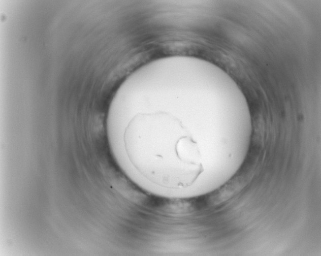 X0000088640278200706151950