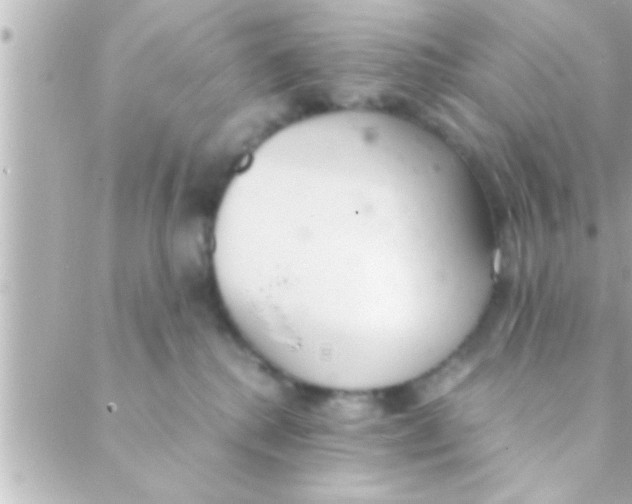 X0000088640280200706151950