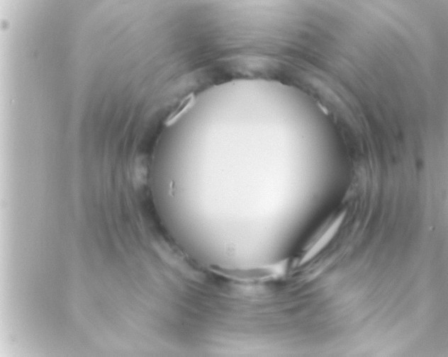 X0000088640284200706151950