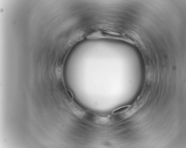 X0000088640285200706151950