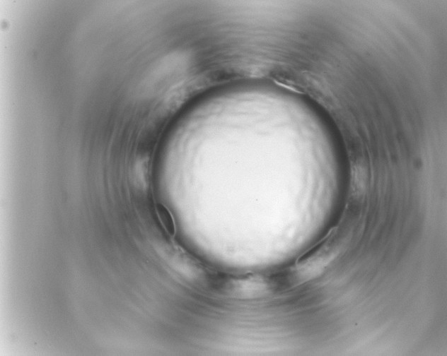 X0000088640286200706151950