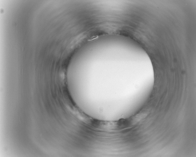 X0000088640288200706151950