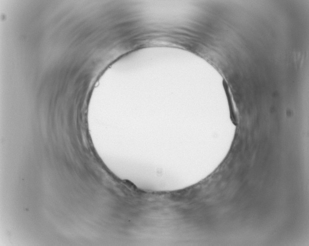 X0000088640289200706151949