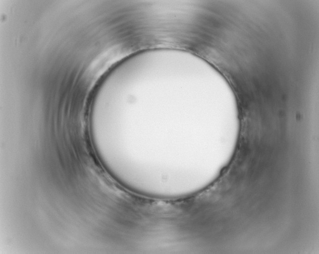 X0000088640290200706151949