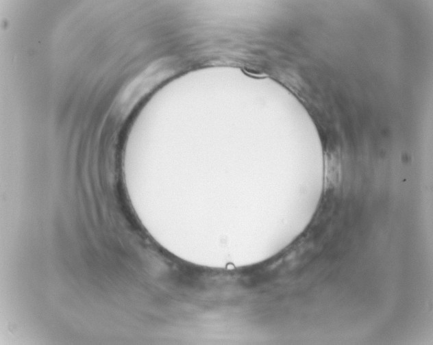 X0000088640291200706151949