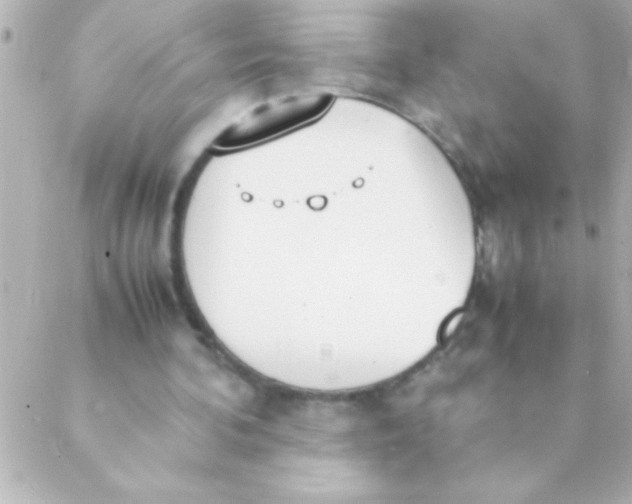 X0000088640292200706151949