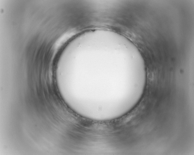 X0000088640294200706151949