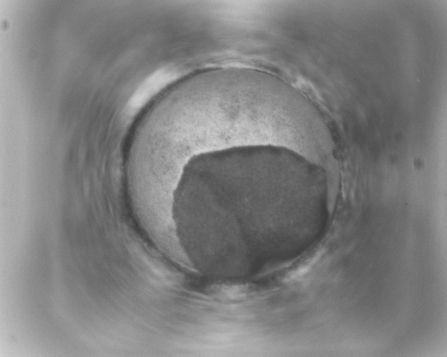 X0000088640295200706151949