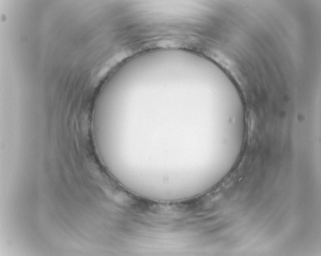 X0000088640297200706151949