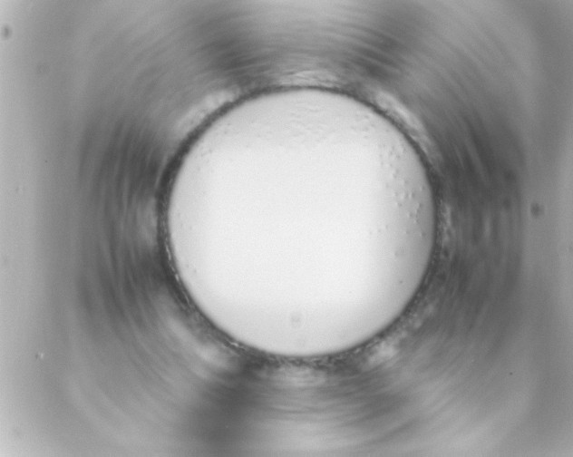 X0000088640298200706151949