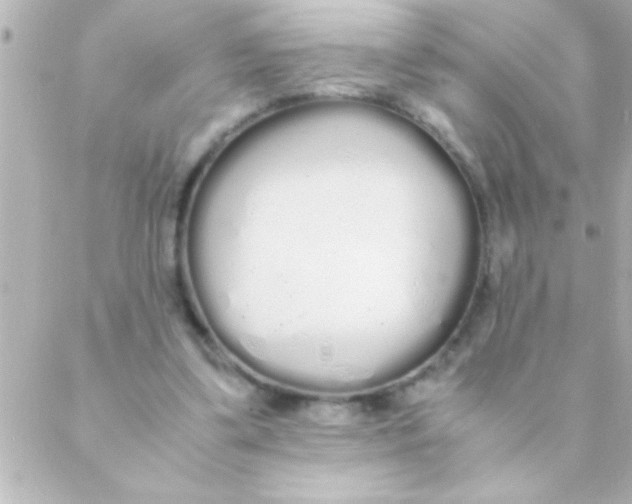 X0000088640299200706151949